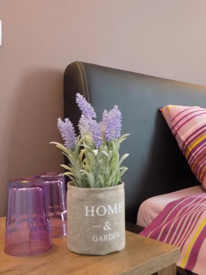 Homestay Colosseum Residence Bucharest Romania