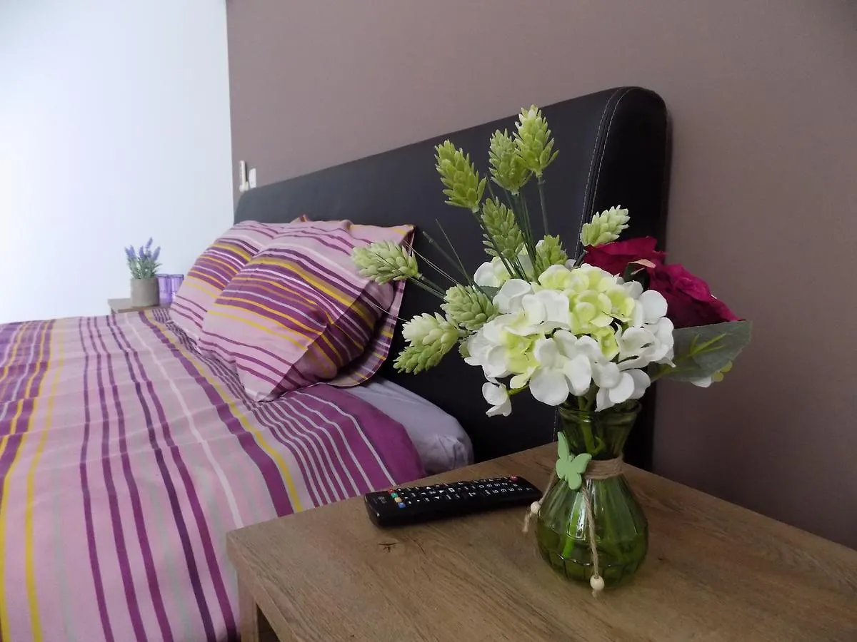 Homestay Colosseum Residence Bucharest