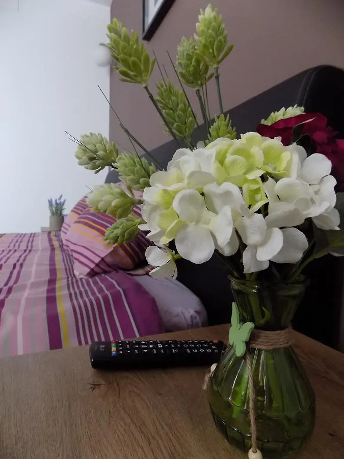 Colosseum Residence Bucharest Homestay