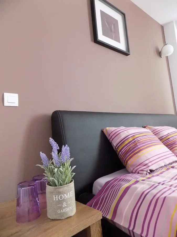 Homestay Colosseum Residence Bucharest